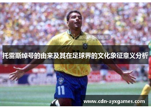 托雷斯绰号的由来及其在足球界的文化象征意义分析 托雷斯绰号的由来及其在足球界的文化象征意义分析