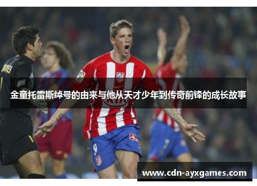 金童托雷斯绰号的由来与他从天才少年到传奇前锋的成长故事