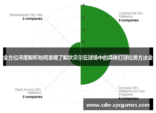 全方位深度解析如何准确了解坎贝尔在球场中的具体打球位置方法全 全方位深度解析如何准确了解坎贝尔在球场中的具体打球位置方法全