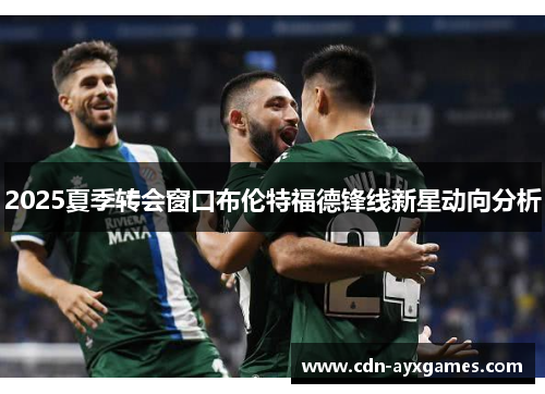 2025夏季转会窗口布伦特福德锋线新星动向分析