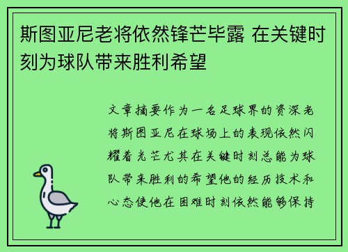 斯图亚尼老将依然锋芒毕露 在关键时刻为球队带来胜利希望