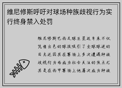 维尼修斯呼吁对球场种族歧视行为实行终身禁入处罚
