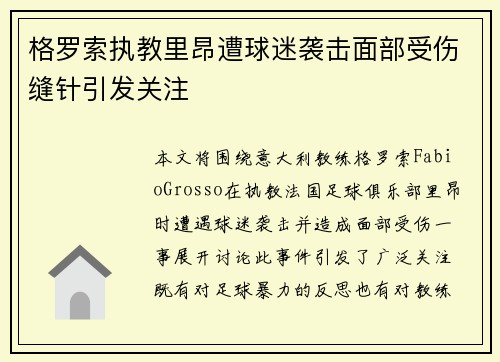 格罗索执教里昂遭球迷袭击面部受伤缝针引发关注